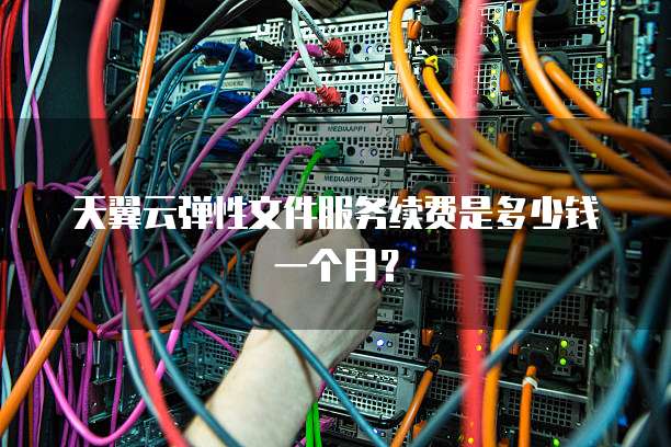 天翼云弹性文件服务续费是多少钱一个月?