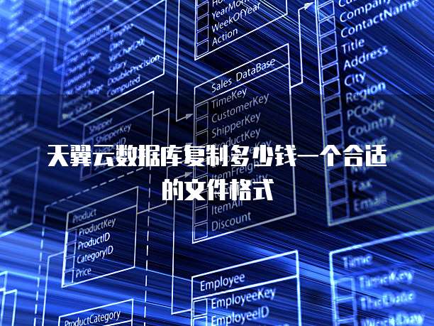 天翼云数据库复制多少钱一个合适的文件格式