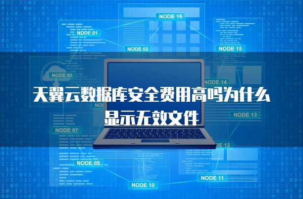 天翼云数据库安全费用高吗为什么显示无效文件