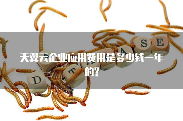 天翼云企业应用费用是多少钱一年的?