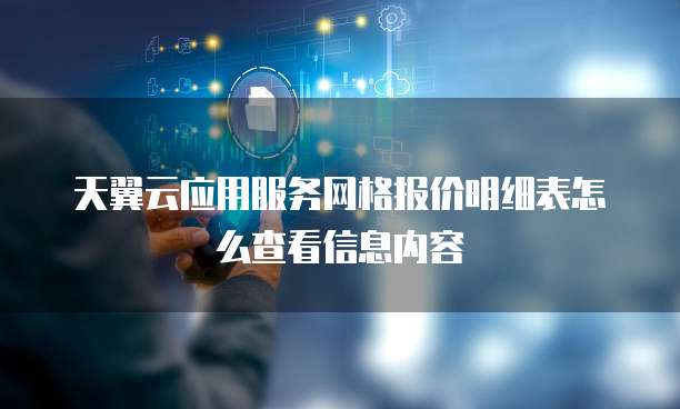 天翼云应用服务网格报价明细表怎么查看信息内容