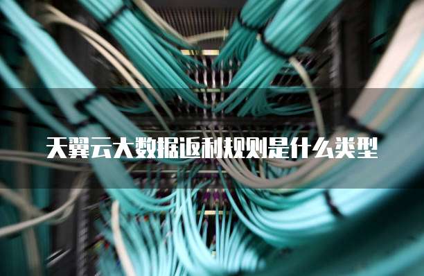 天翼云大数据返利规则是什么类型