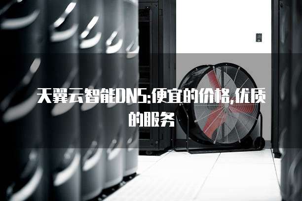 天翼云智能DNS:便宜的价格,优质的服务