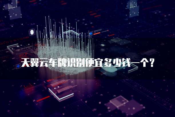 天翼云车牌识别便宜多少钱一个?
