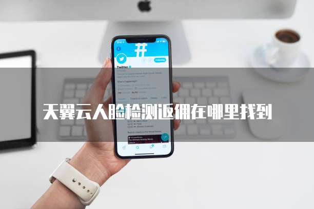 天翼云人脸检测返佣在哪里找到