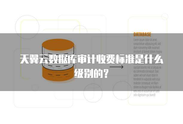 天翼云数据库审计收费标准是什么级别的?