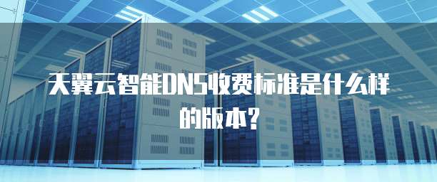 天翼云智能DNS收费标准是什么样的版本?
