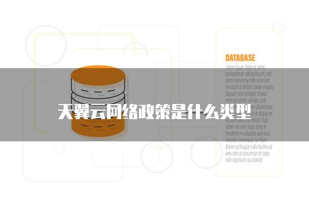 天翼云网络政策是什么类型