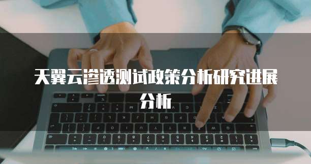 天翼云渗透测试政策分析研究进展分析