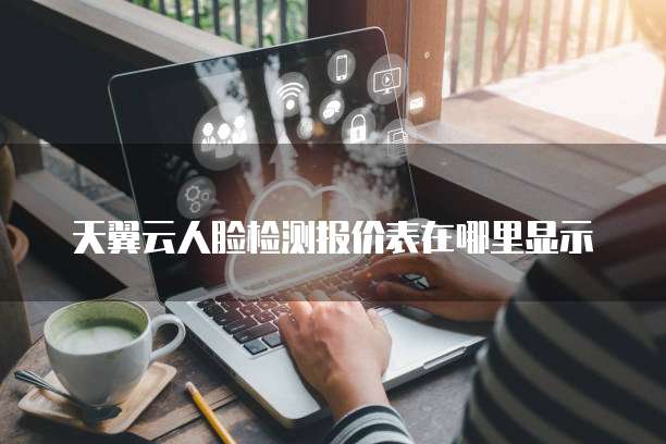 天翼云人脸检测报价表在哪里显示