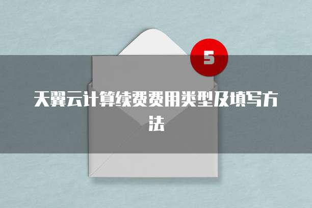 天翼云计算续费费用类型及填写方法