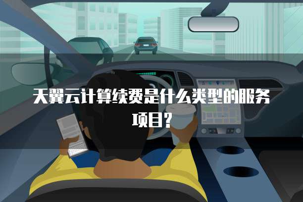 天翼云计算续费是什么类型的服务项目?