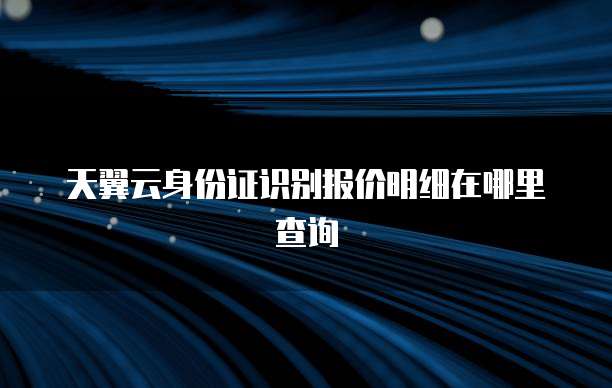 天翼云身份证识别报价明细在哪里查询