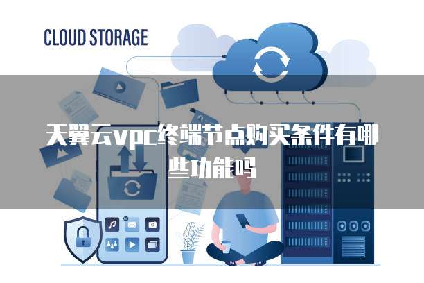 天翼云vpc终端节点购买条件有哪些功能吗