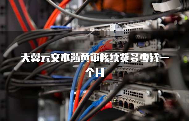 天翼云文本涉黄审核续费多少钱一个月