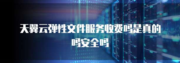 天翼云弹性文件服务收费吗是真的吗安全吗