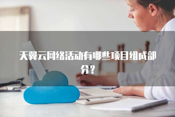 天翼云网络活动有哪些项目组成部分？