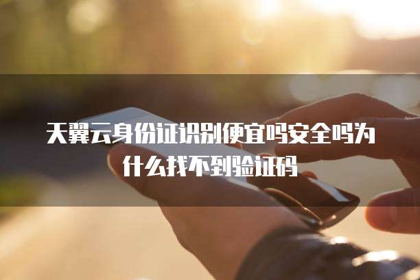 天翼云身份证识别便宜吗安全吗为什么找不到验证码