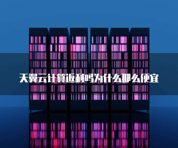 天翼云计算返利吗为什么那么便宜