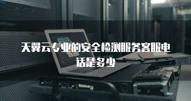 天翼云专业的安全检测服务客服电话是多少