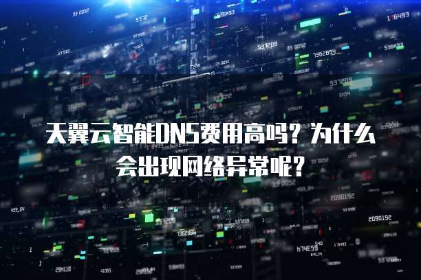 天翼云智能DNS费用高吗?为什么会出现网络异常呢?