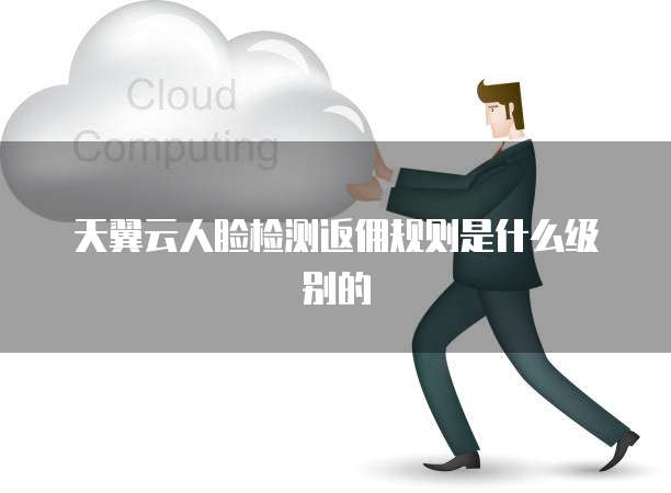 天翼云人脸检测返佣规则是什么级别的