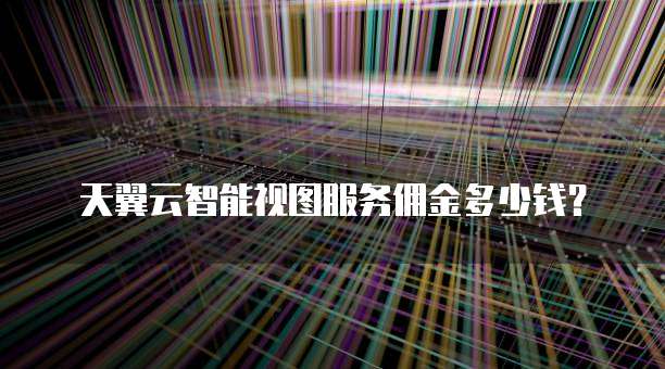 天翼云智能视图服务佣金多少钱？