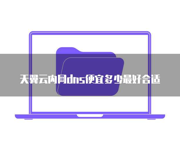 天翼云内网dns便宜多少最好合适
