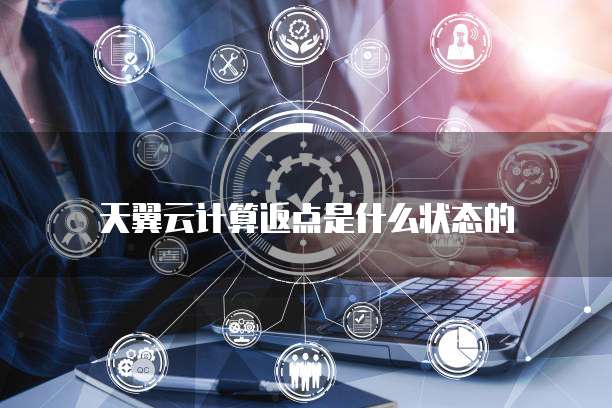 天翼云计算返点是什么状态的