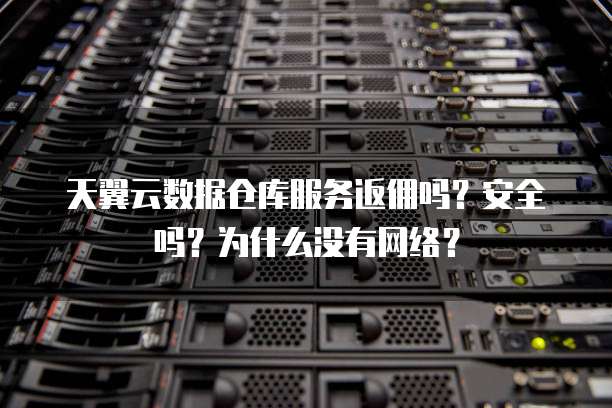 天翼云数据仓库服务返佣吗?安全吗?为什么没有网络?