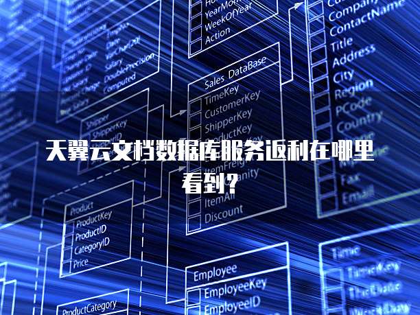 天翼云文档数据库服务返利在哪里看到?