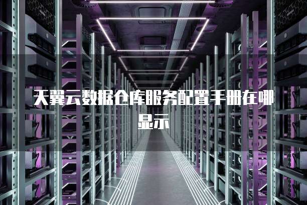 天翼云数据仓库服务配置手册在哪显示