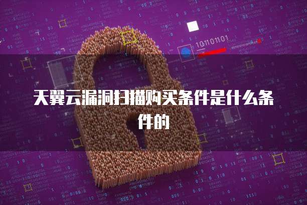 天翼云漏洞扫描购买条件是什么条件的