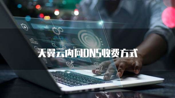 天翼云内网DNS收费方式
