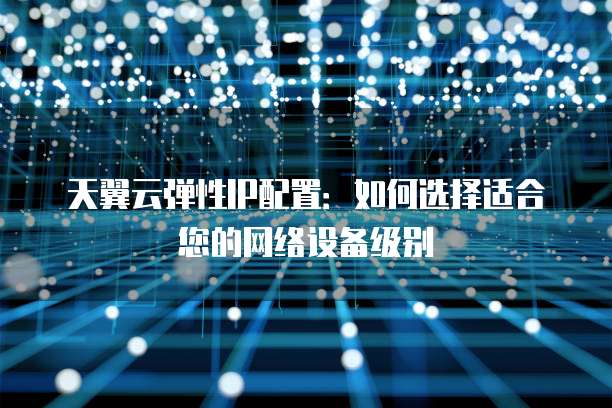 天翼云弹性IP配置:如何选择适合您的网络设备级别