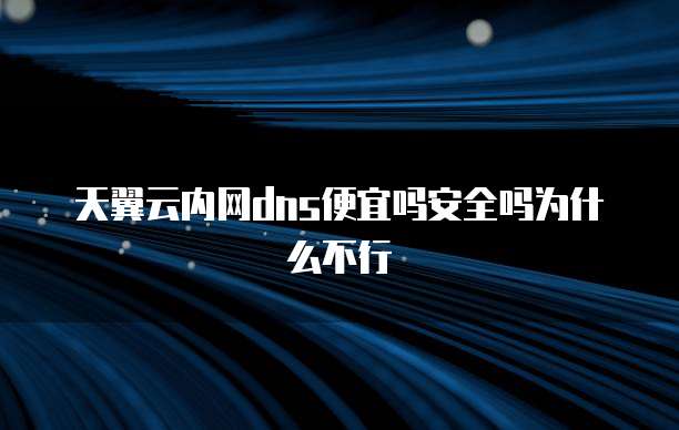 天翼云内网dns便宜吗安全吗为什么不行