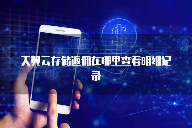 天翼云存储返佣在哪里查看明细记录