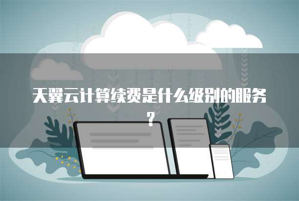 天翼云计算续费是什么级别的服务?