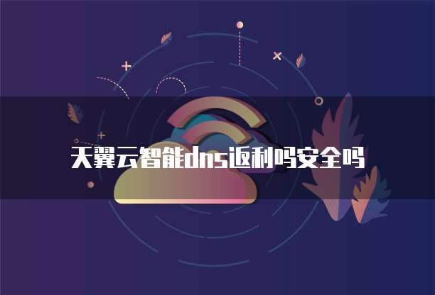 天翼云智能dns返利吗安全吗