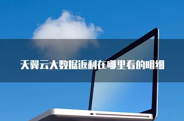 天翼云大数据返利在哪里看的明细