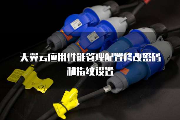 天翼云应用性能管理配置修改密码和指纹设置