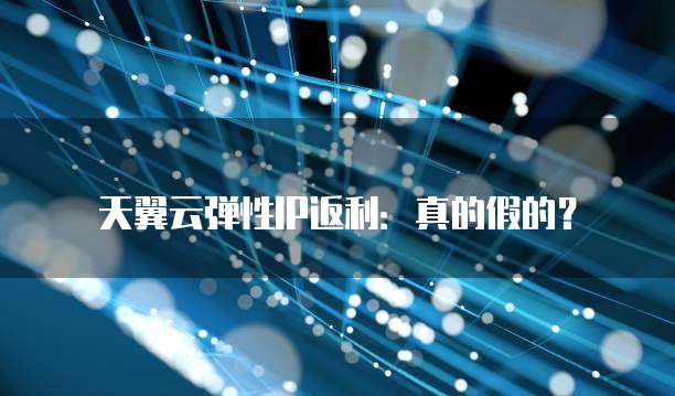 天翼云弹性IP返利:真的假的?