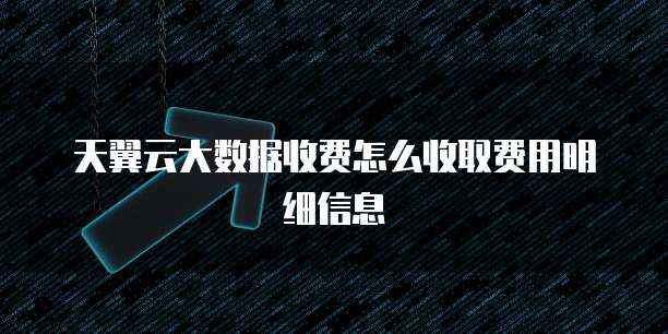 天翼云大数据收费怎么收取费用明细信息