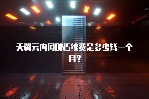 天翼云内网DNS续费是多少钱一个月？