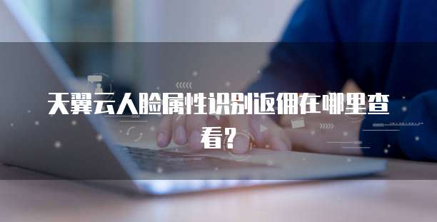 天翼云人脸属性识别返佣在哪里查看？