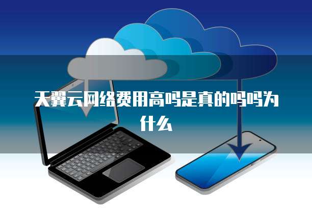 天翼云网络费用高吗是真的吗吗为什么