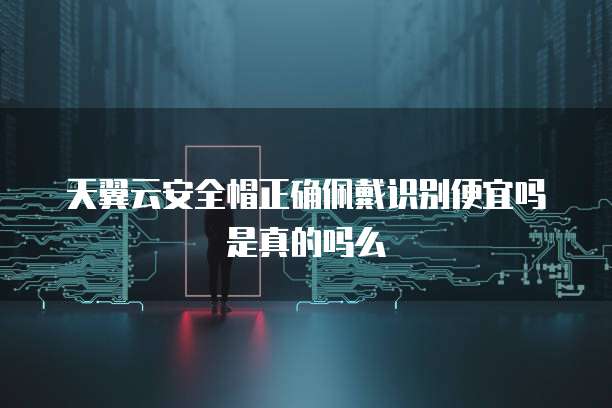 天翼云安全帽正确佩戴识别便宜吗是真的吗么