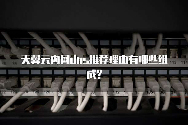 天翼云内网dns推荐理由有哪些组成?