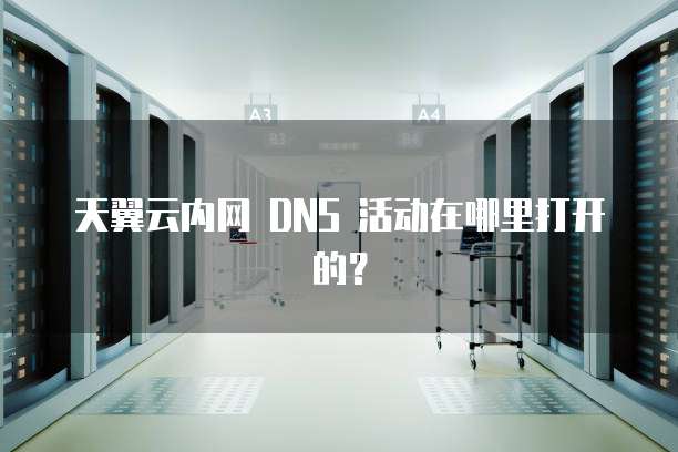天翼云内网 DNS 活动在哪里打开的?