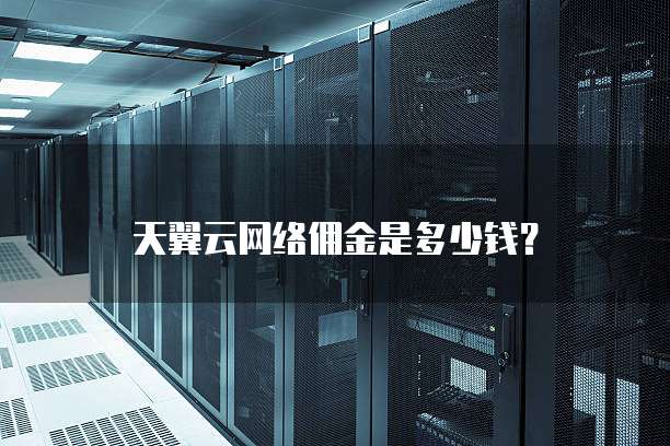 天翼云网络佣金是多少钱?
